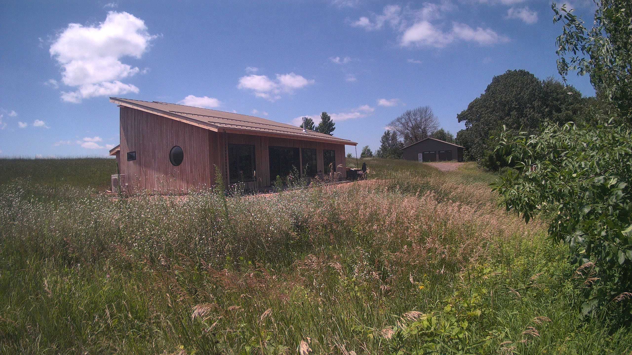A photo from the field camera