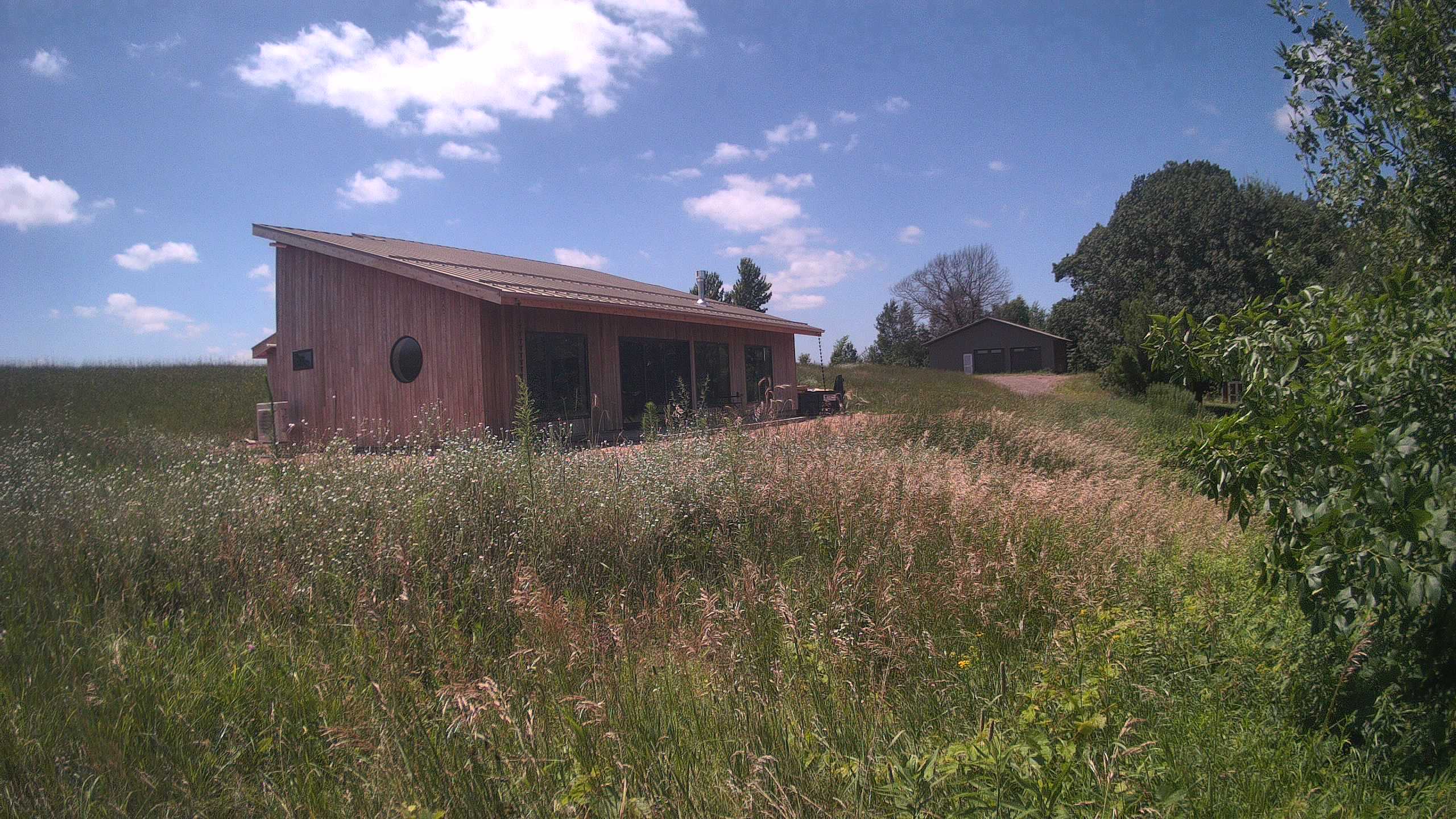 A photo from the field camera