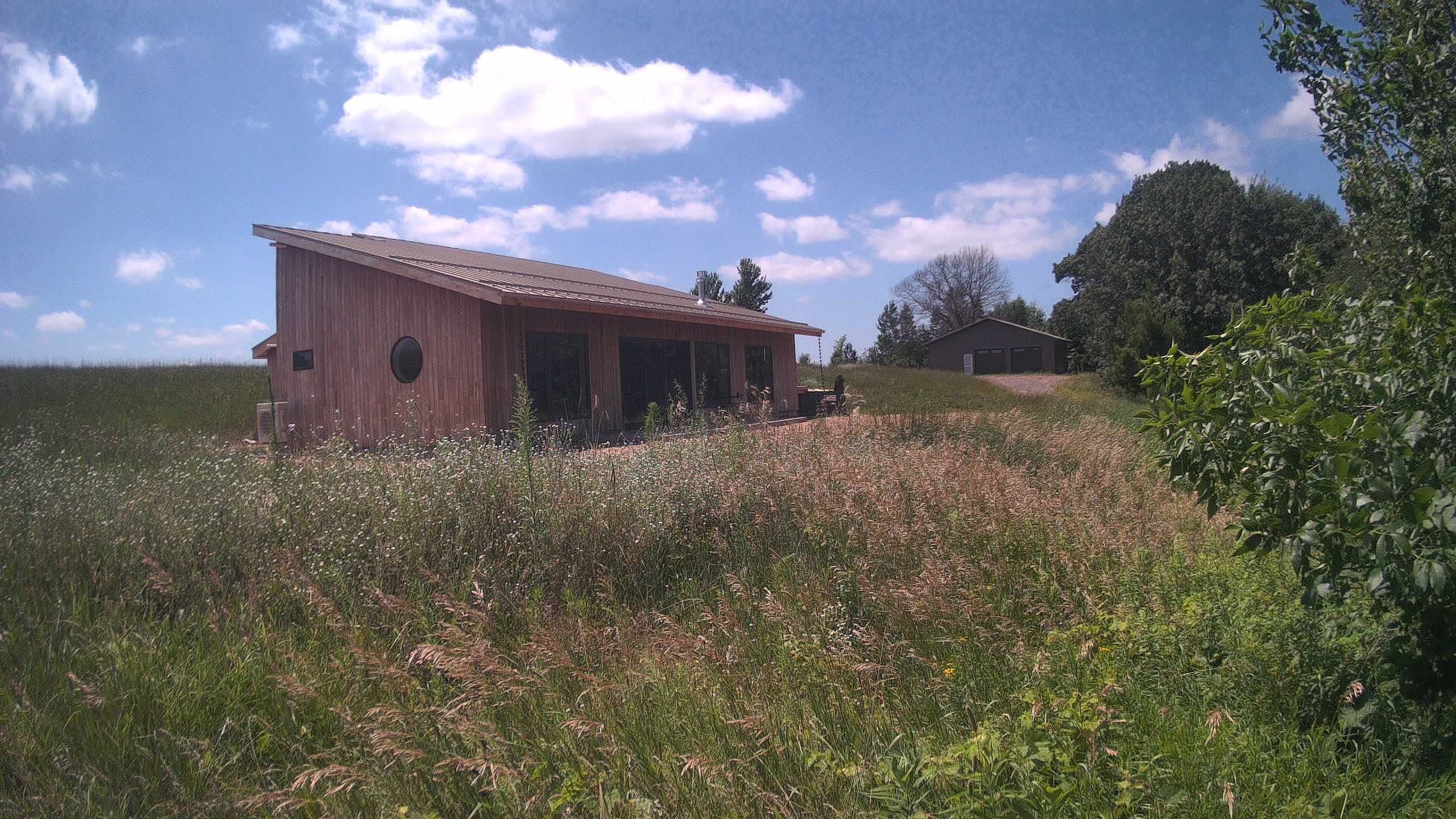A photo from the field camera