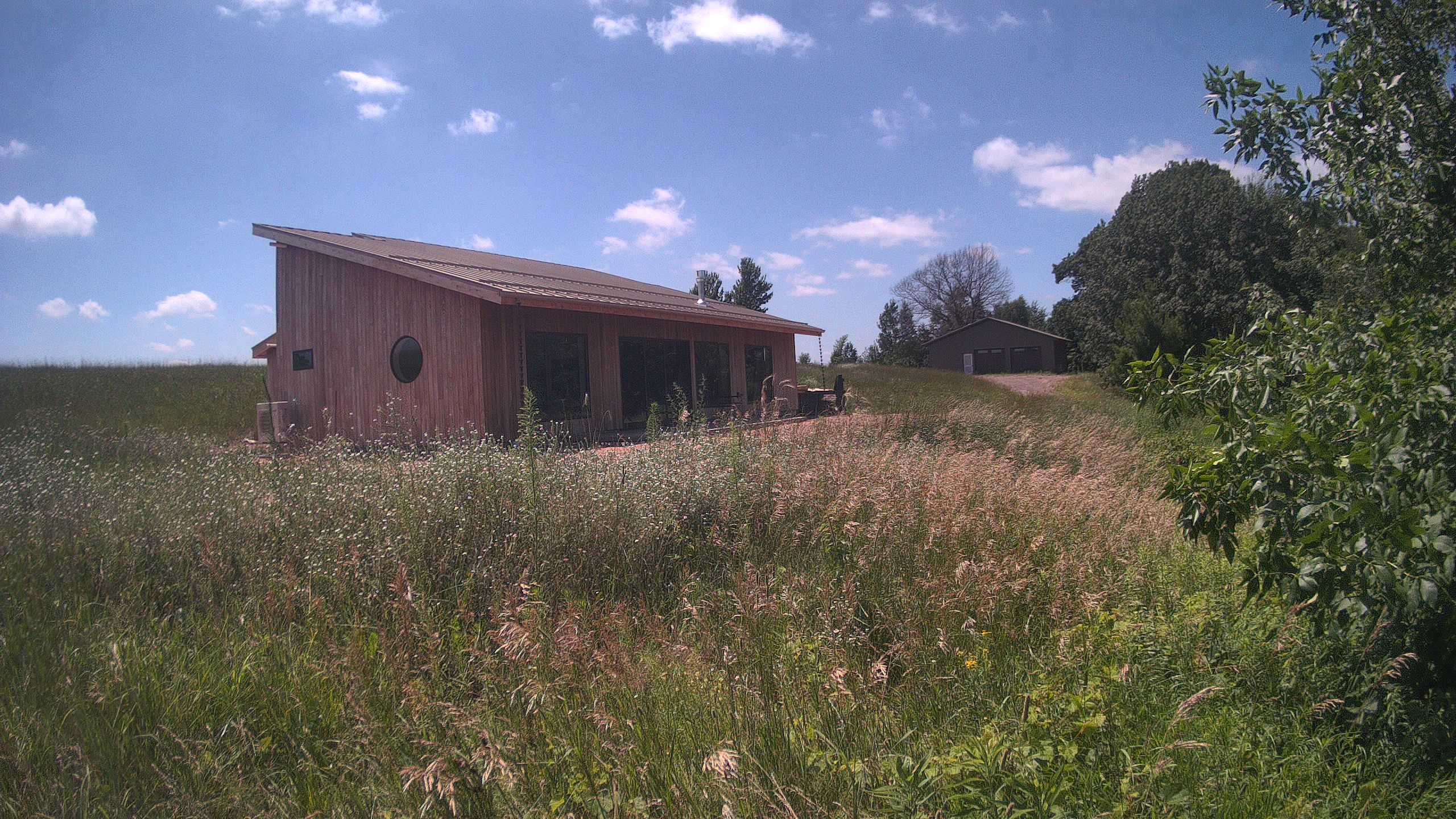 A photo from the field camera