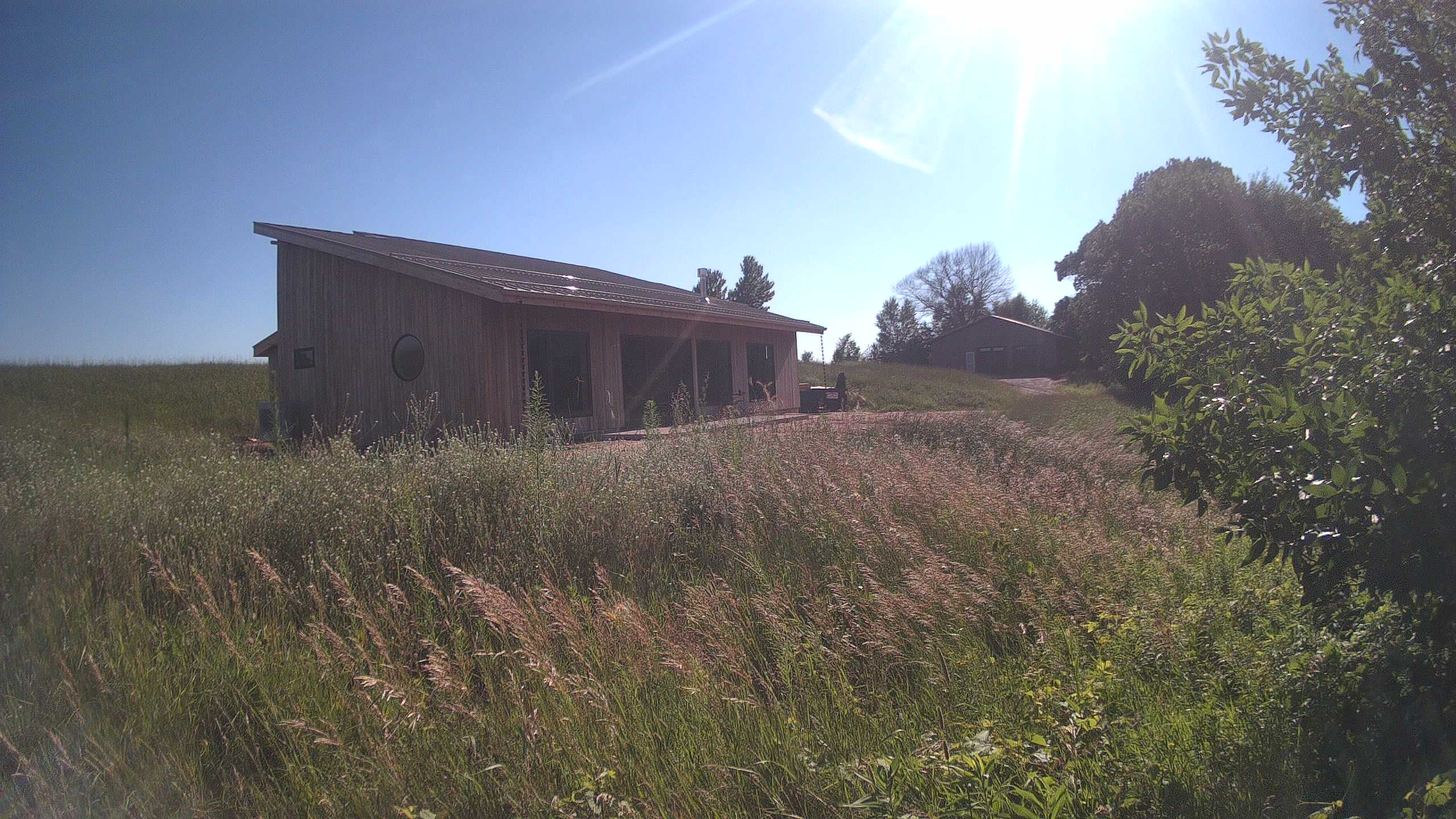 A photo from the field camera