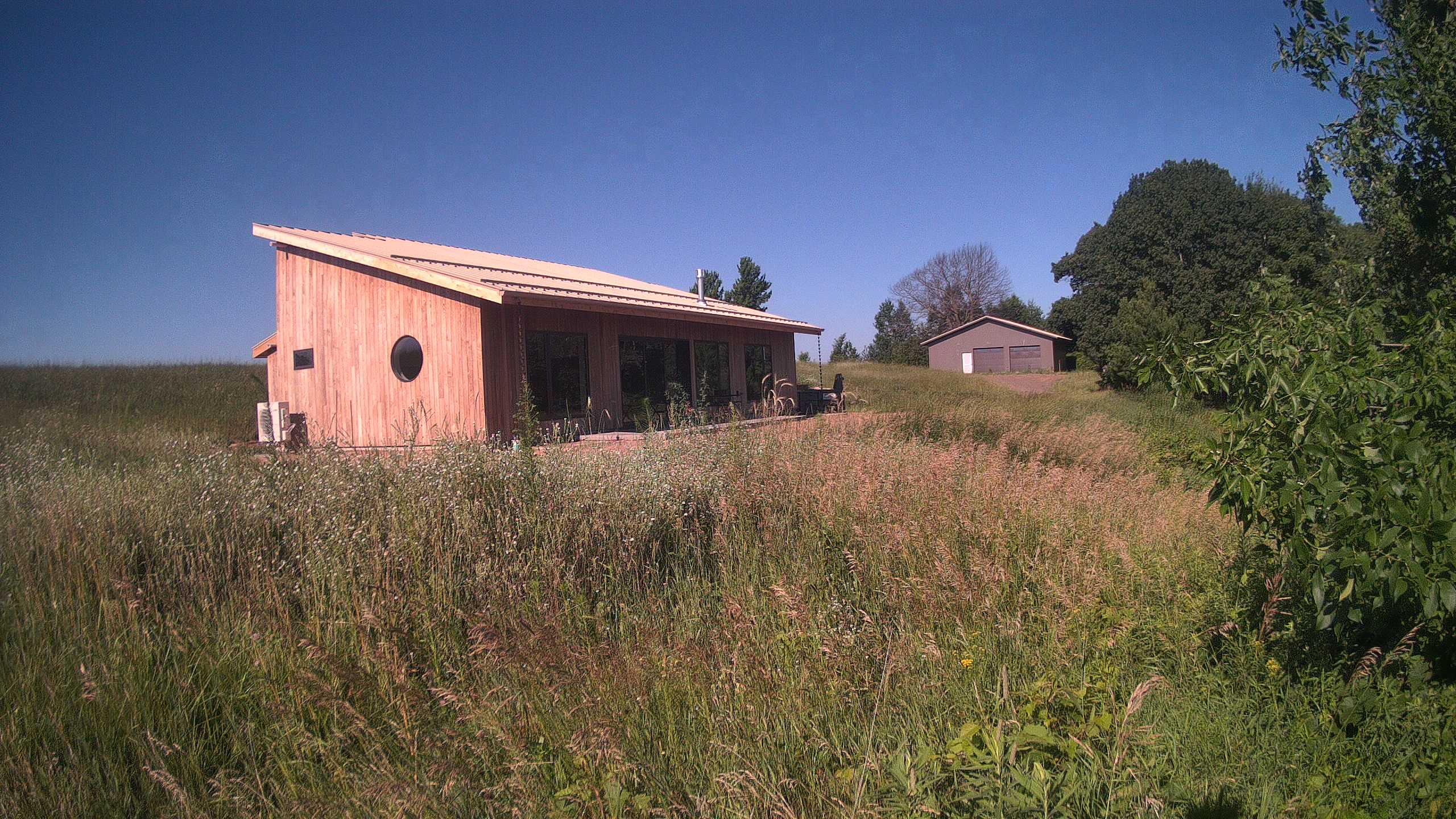 A photo from the field camera
