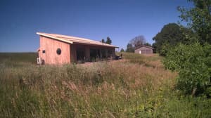A newer photo from the camera