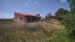A newer photo from the camera