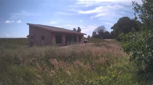 A newer photo from the camera