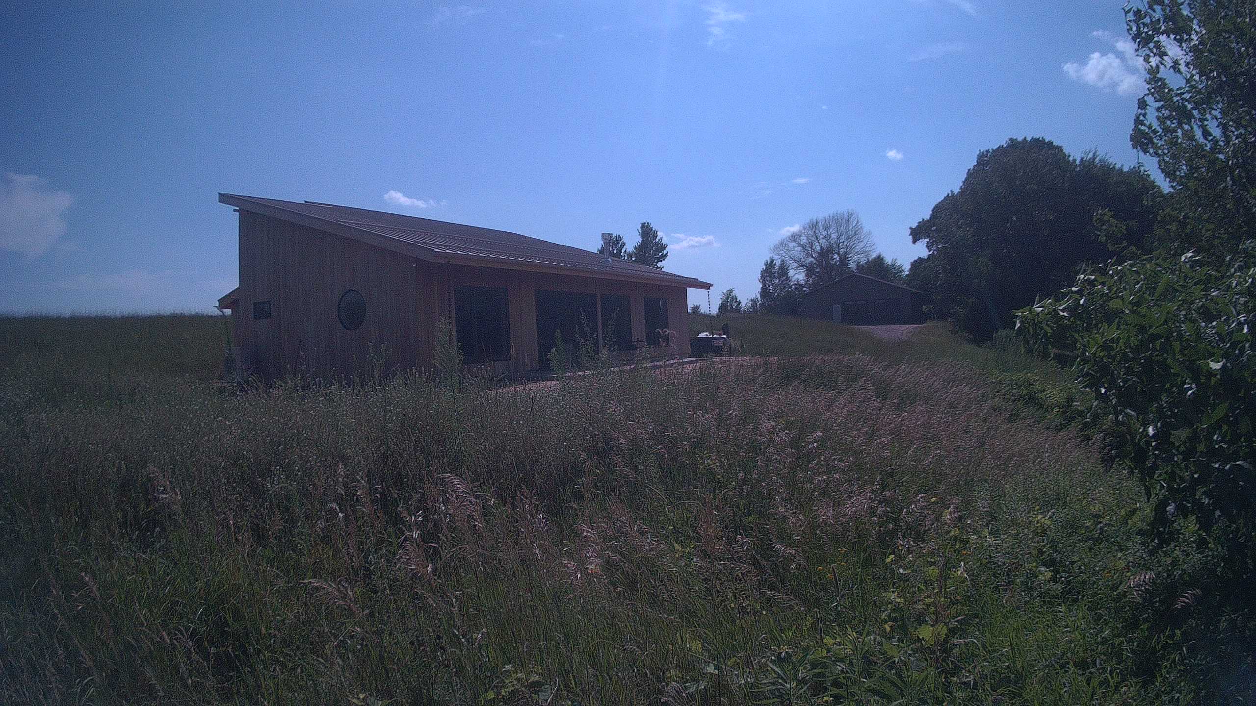 A photo from the field camera