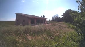 A newer photo from the camera