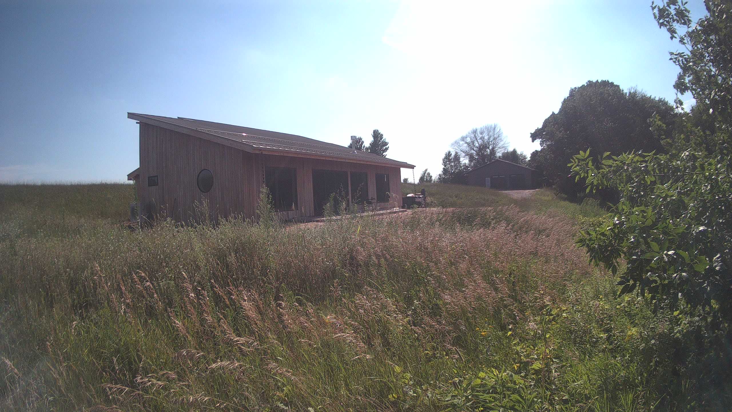 A photo from the field camera