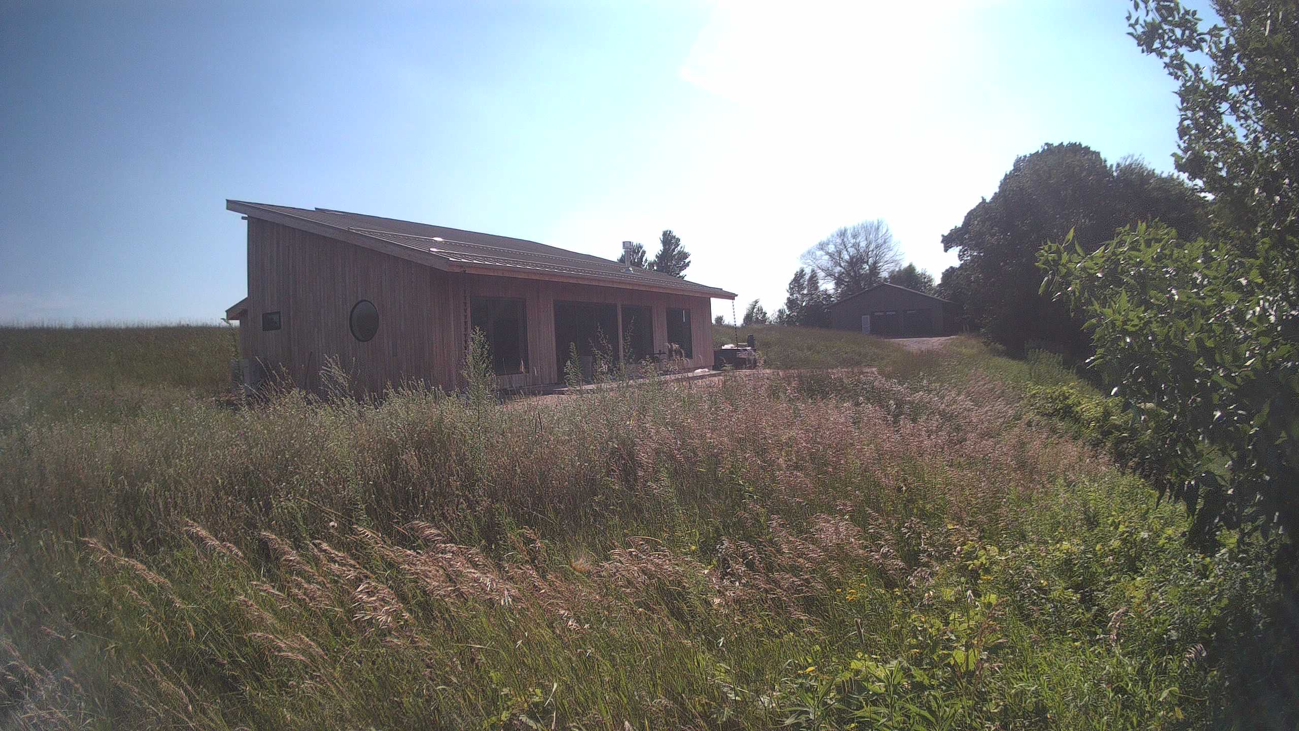 A photo from the field camera
