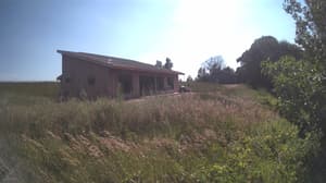 An older photo from the camera