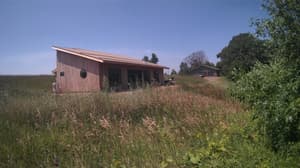 A newer photo from the camera