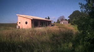 A newer photo from the camera
