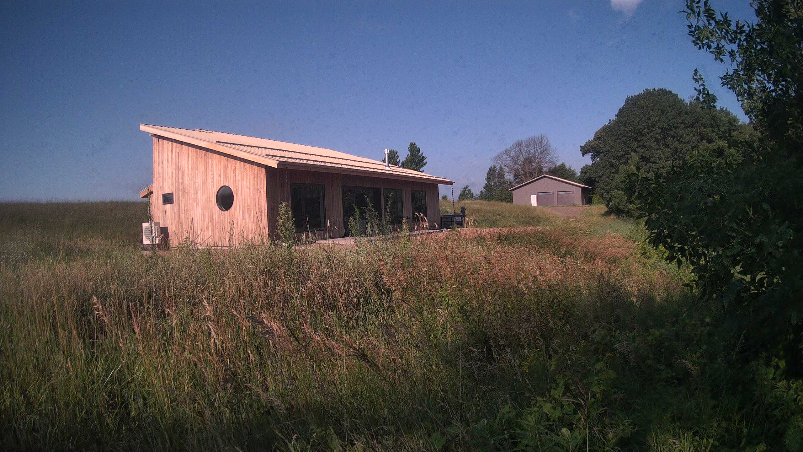 A photo from the field camera