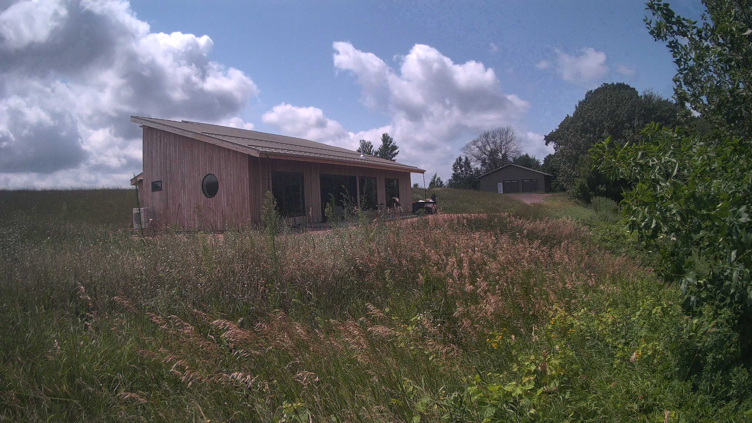 A photo from the field camera