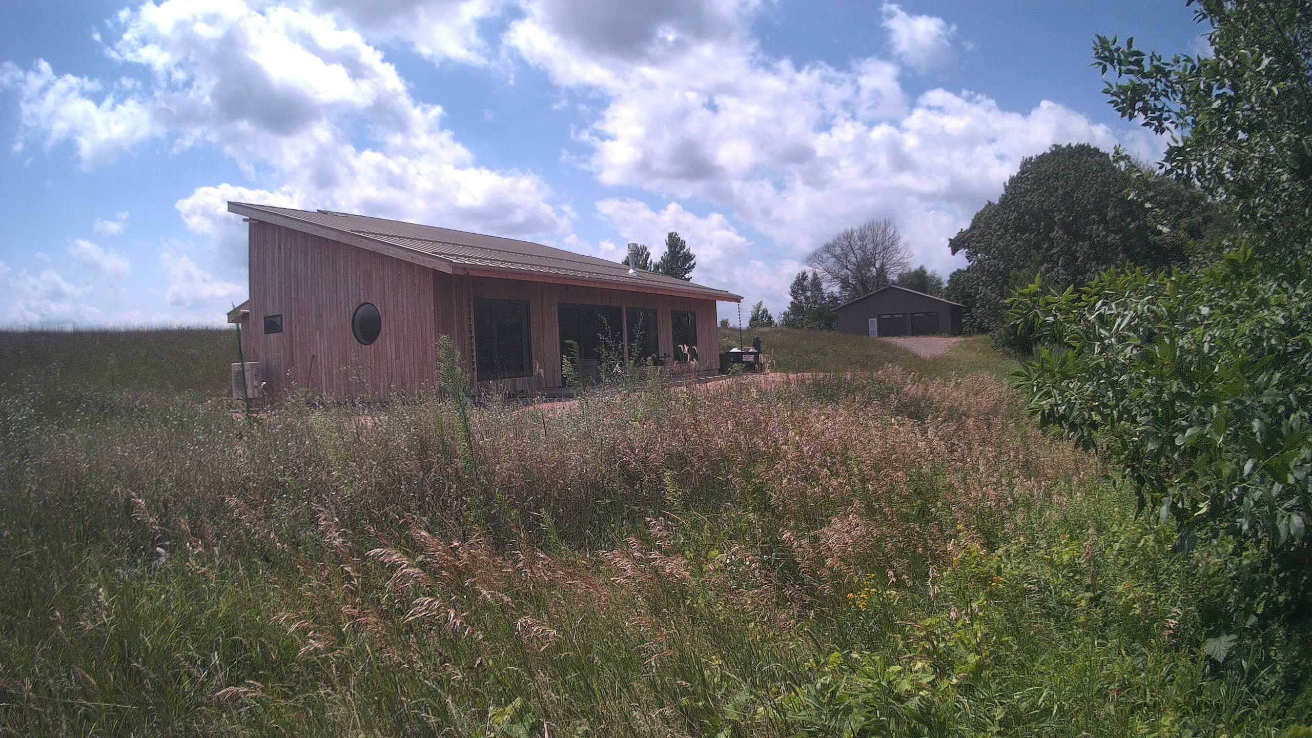 A photo from the field camera