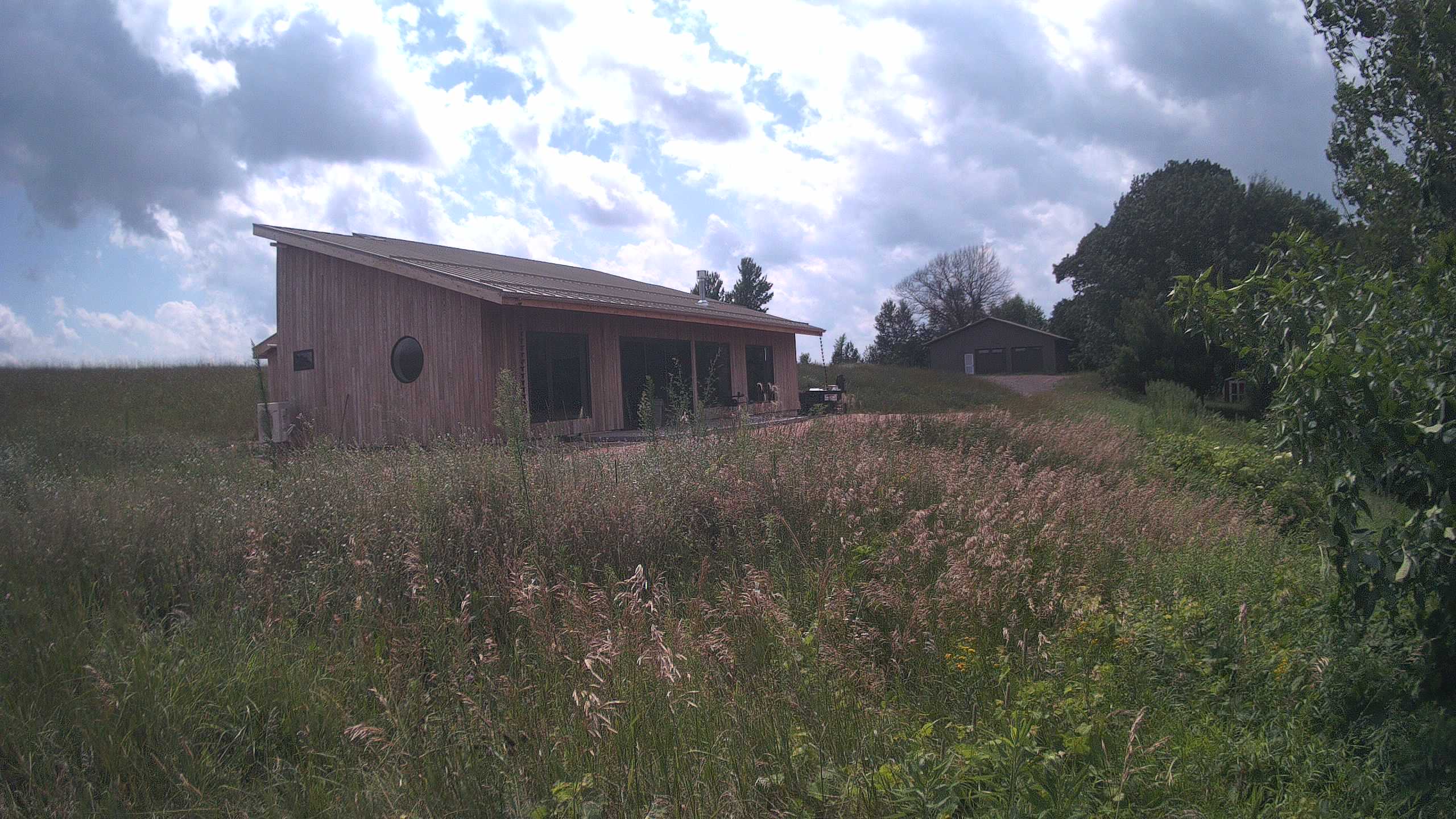 A photo from the field camera