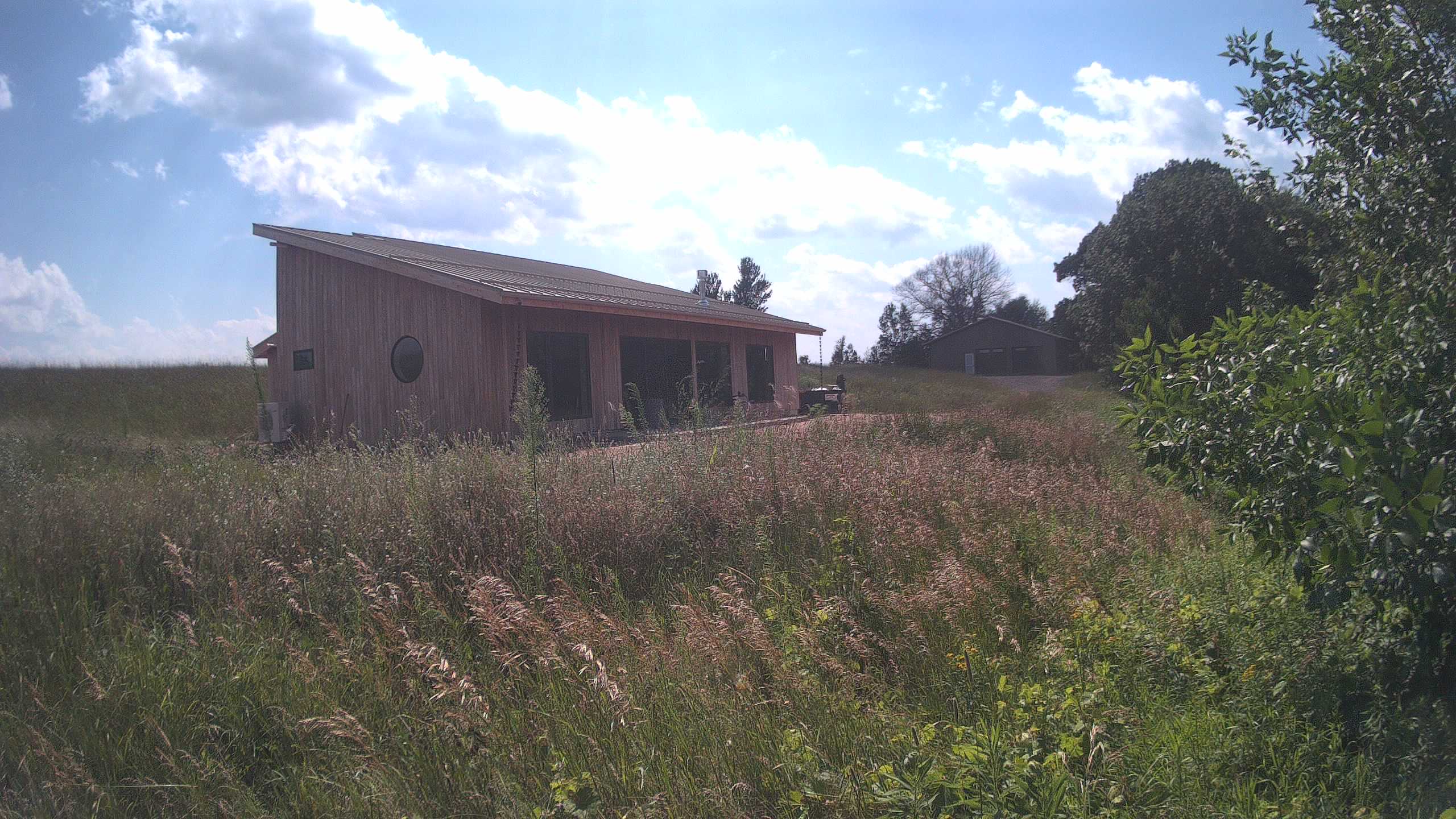 A photo from the field camera