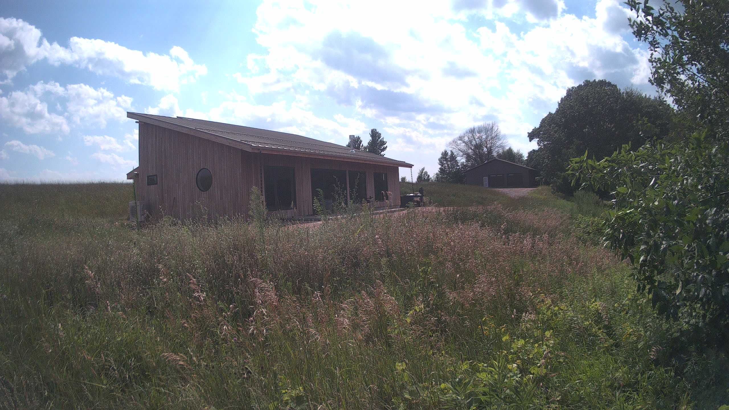 A photo from the field camera