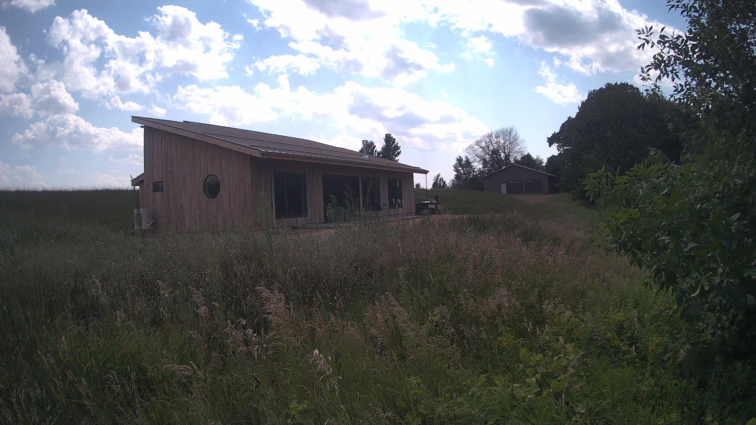 A photo from the field camera