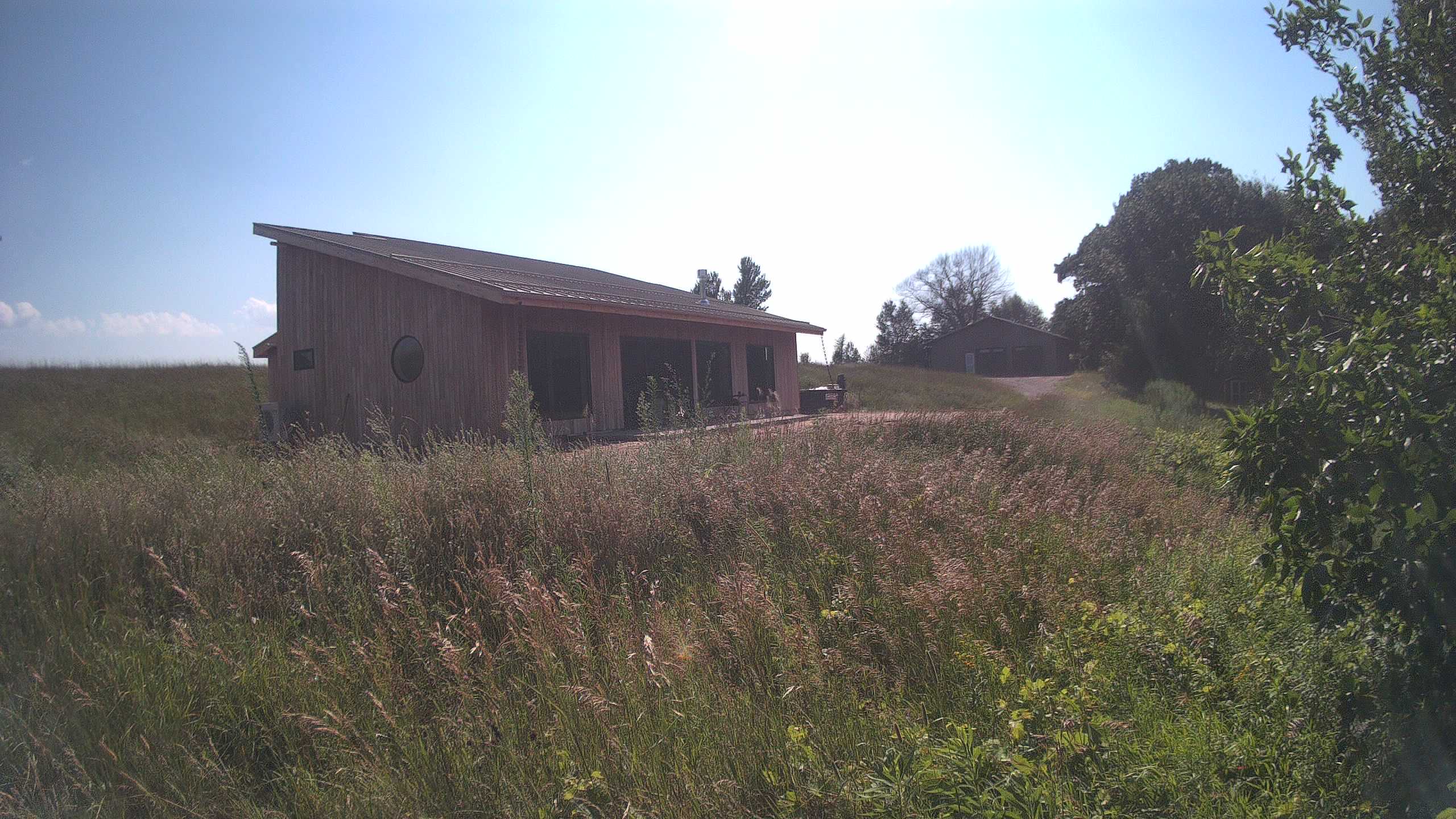 A photo from the field camera