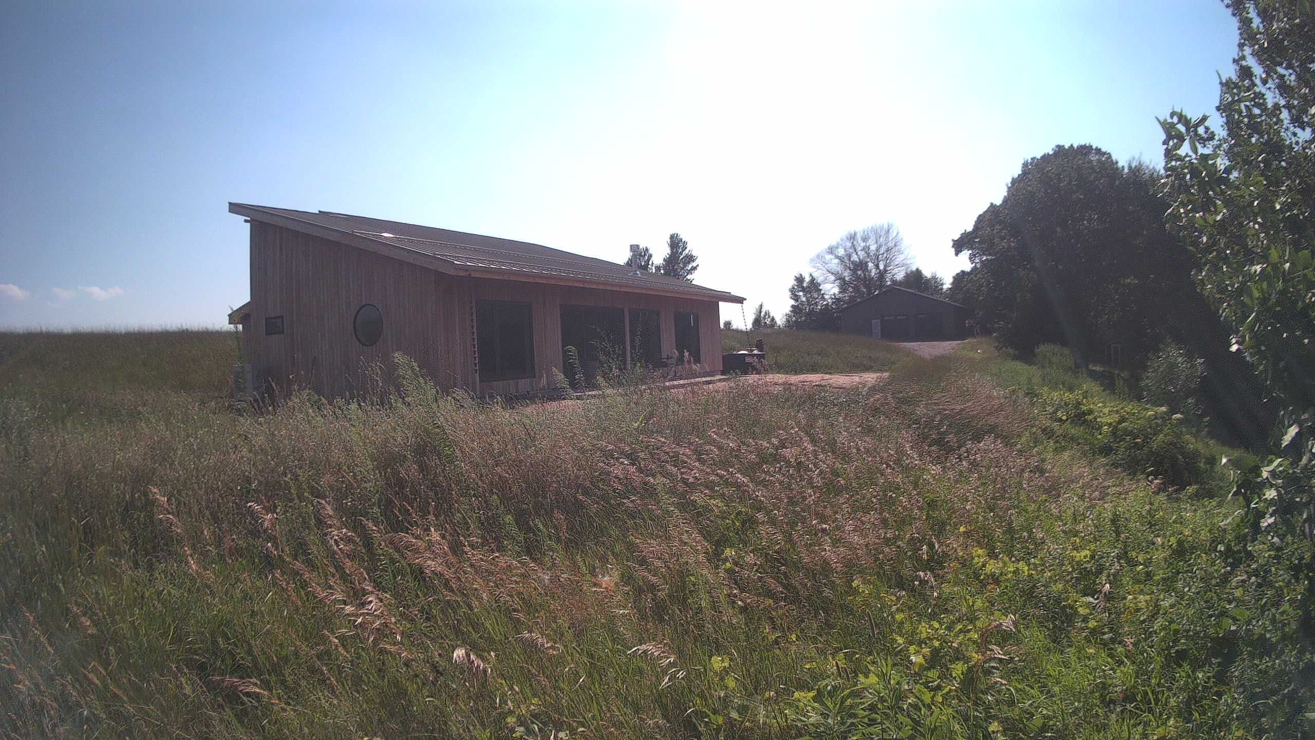 A photo from the field camera