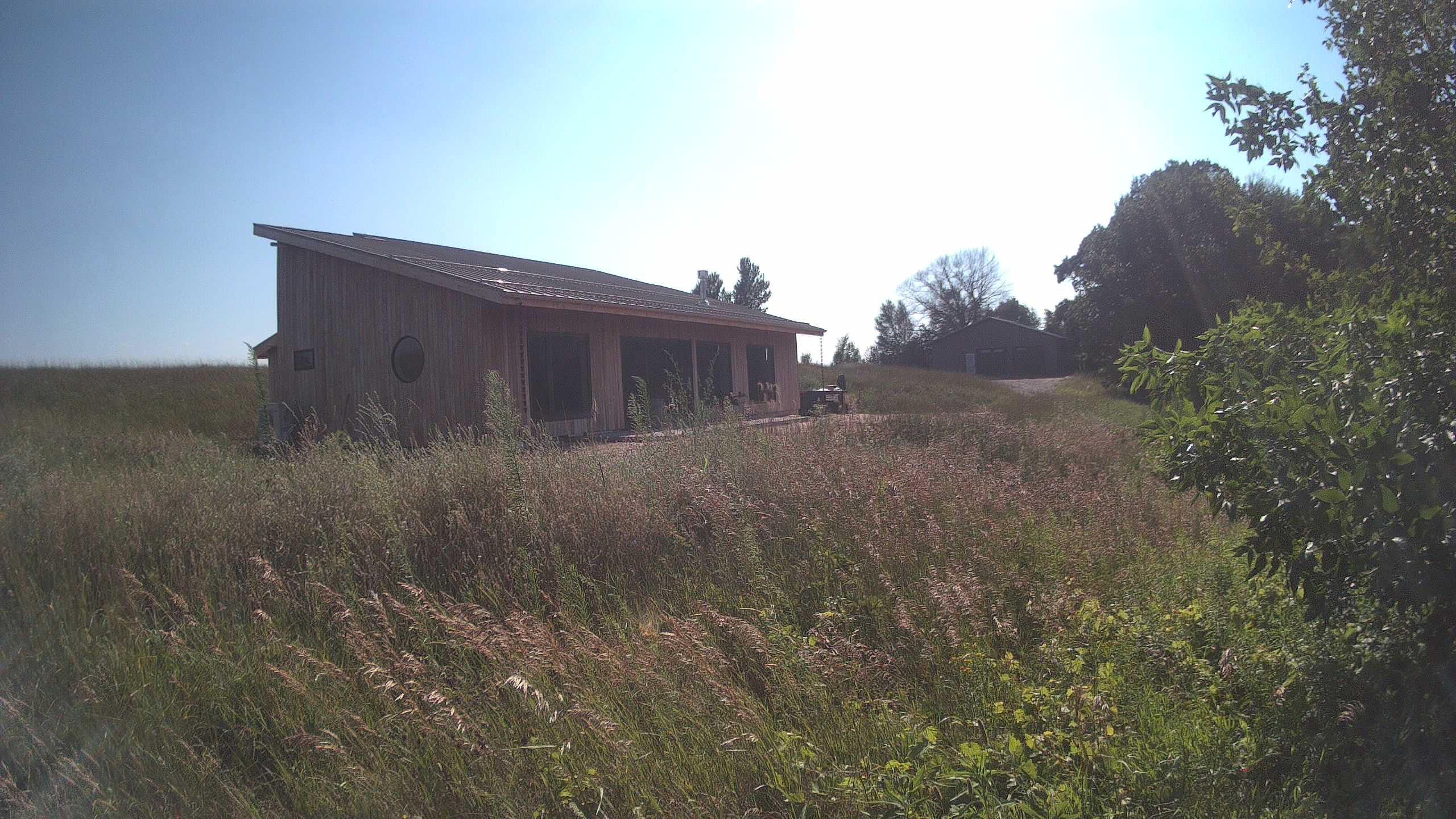 A photo from the field camera