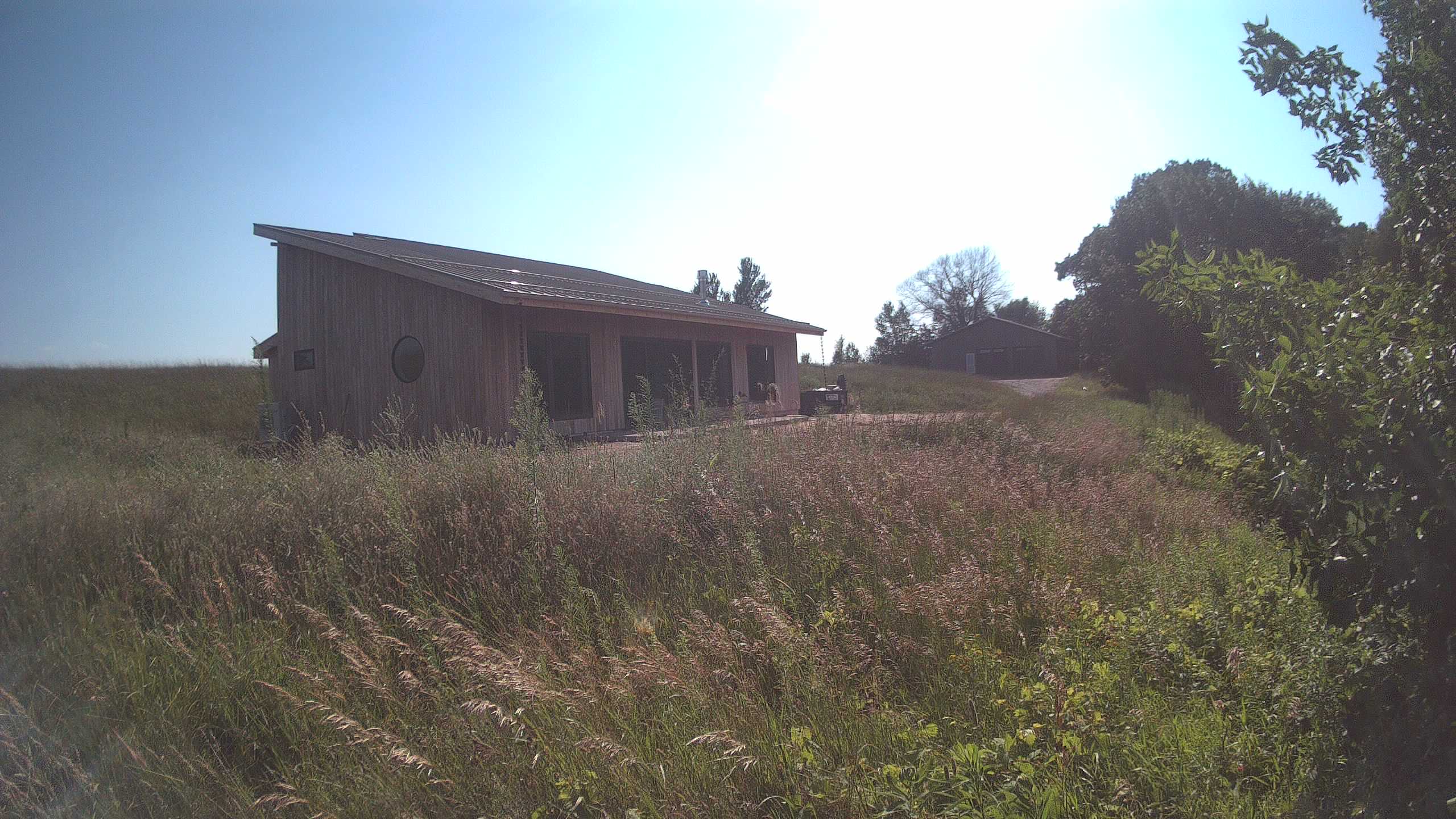 A photo from the field camera